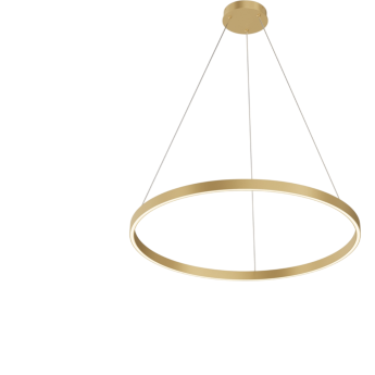 Подвесной светильник MAYTONI RIM MOD058PL-L42BSK